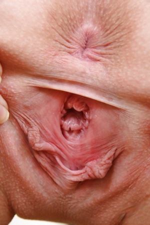 Close up anal pic porno - Real Naked Girls